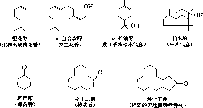 香水的香氣從何而來？