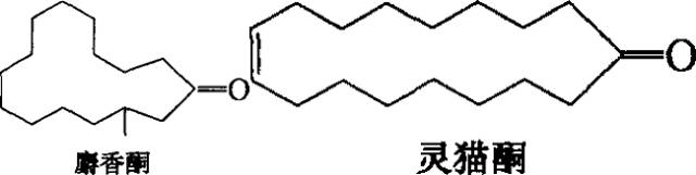 香水的香氣從何而來？
