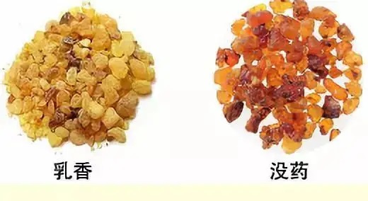 乳香，Boswellia Carterri Birdw 橄欖科