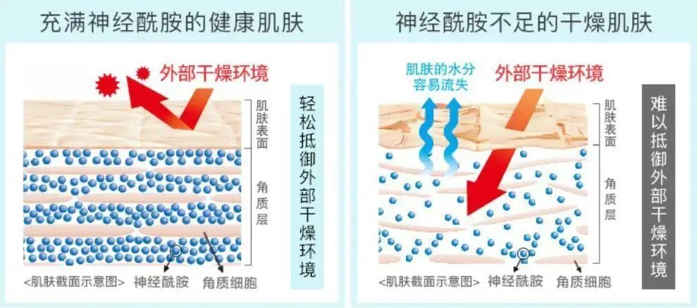 2022年護(hù)膚熱門功效成分有哪些？