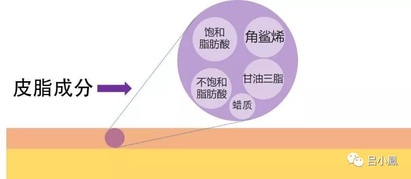 2022年護(hù)膚熱門功效成分有哪些？