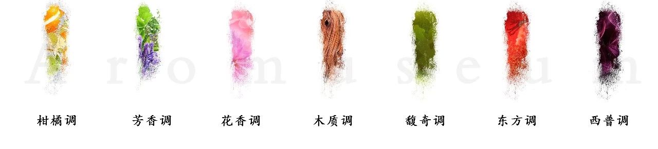 為什么有人一身果香，有人卻一身藿香？