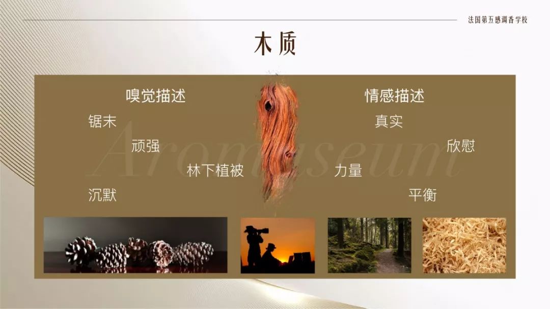 為什么有人一身果香，有人卻一身藿香？