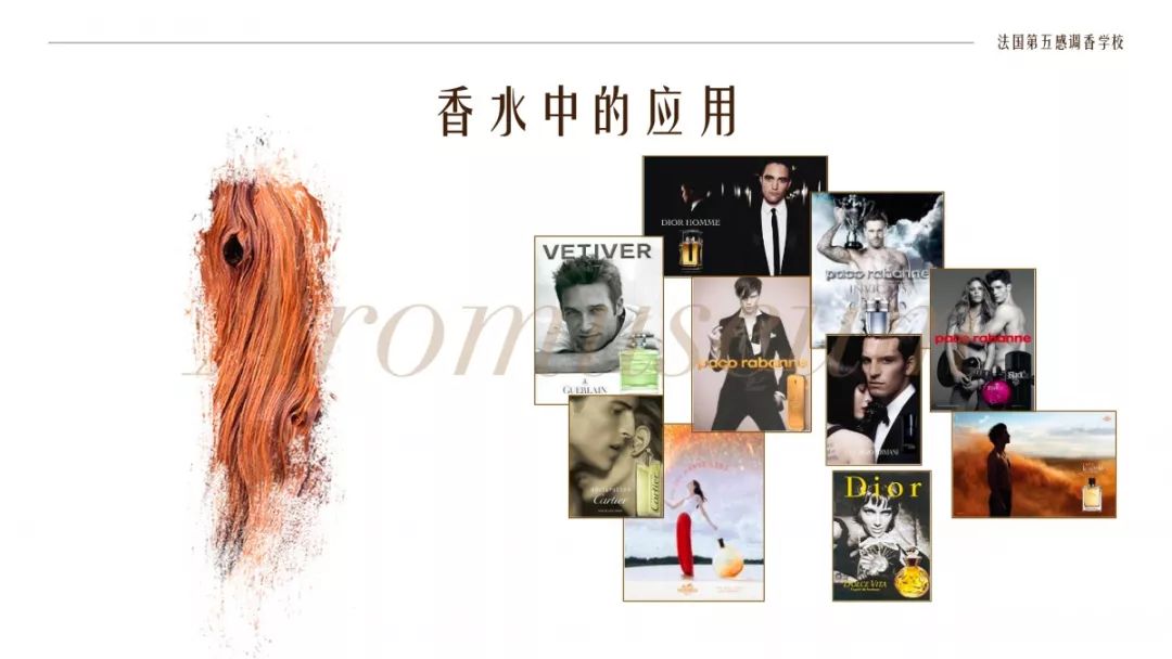 為什么有人一身果香，有人卻一身藿香？