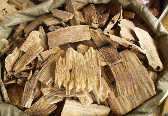 最強”男士氣場“水泥森林中的軍備競賽！